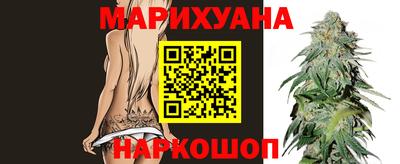 МДПВ Гусев
