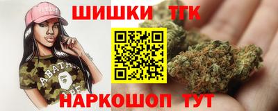 МДПВ Гусев