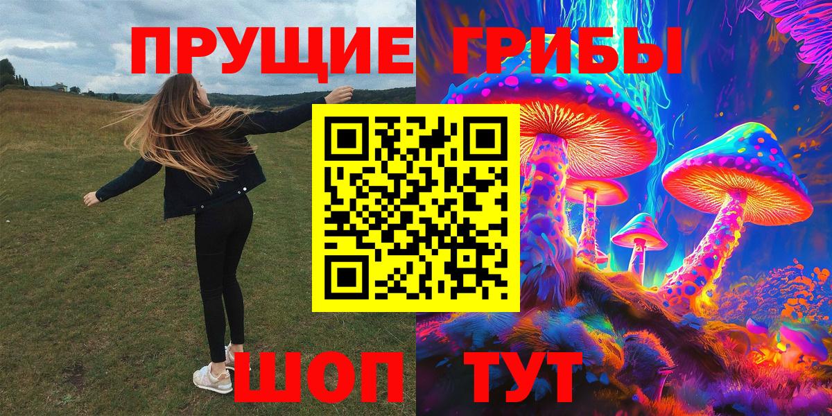 Галлюциногенные грибы прущие грибы  Вход с VPN  Новороссийск  Галлюциногенные грибы мицелий 